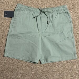 GAP Men's Mint Green Flat Front Shorts